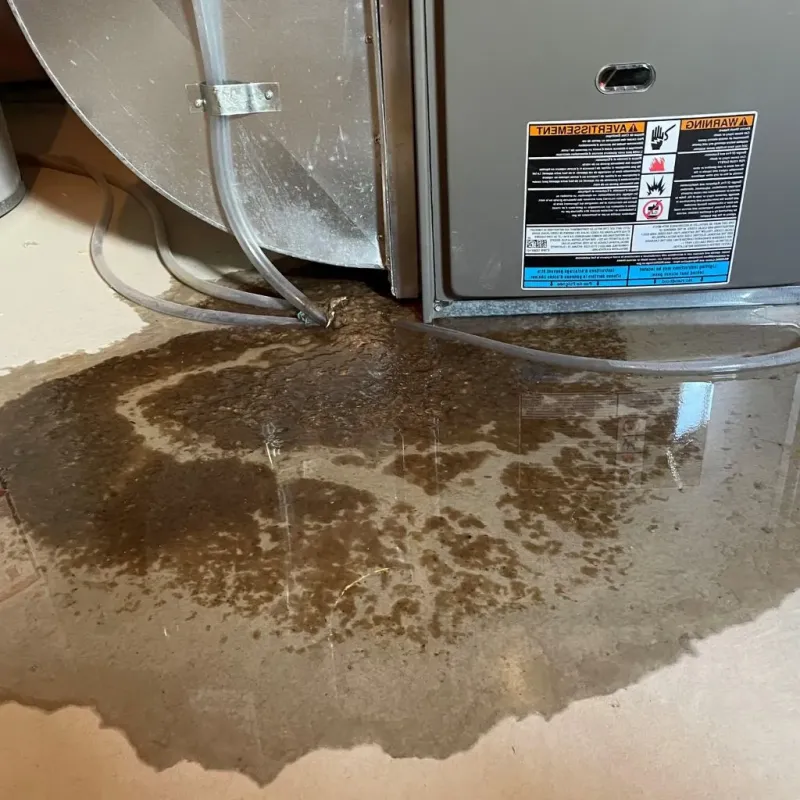 Pipe Burst and Leak Restoration in Upper Sandusky, OH